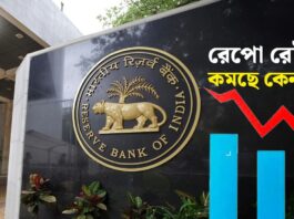 ৪ মাসে রেপো রেট কমেছে ১০০ বেসিস পয়েন্ট, কী চাইছে RBI?