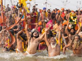 আয় ৫০০ কোটি টাকা! শুধু পুণ্যই নয়, মহাকুম্ভ ভরাল ট্যাঁকও